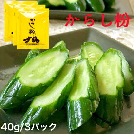 [お試しサイズ]からし粉40g×3袋 【ゆうパケット・送料無料】浅漬けの素 漬物の素 粉末 からし漬け 辛子漬け からし カラシ漬 浅漬けの素 漬け物の素 浅漬け あっさり漬 一夜漬け きゅうり なす 調味料 山形 大正館食品 おためし