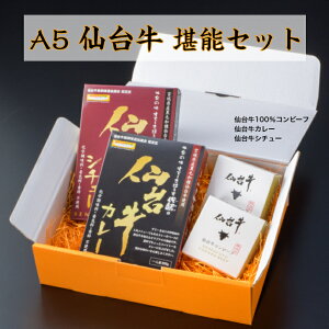 A5 䋍 \Zbgyzōu䋍vґȃZbg MtgZbg O ggJ[ XpCXJ[ r[tV`[ gg Rr[tʋl Ԃ 