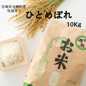 10{\I  ߘa7NxYāI V _EL@엿gp {錧Y āE 10kg ЂƂ߂ڂ (5kg×2) {錧 {  10L  10L 10kg 10L  