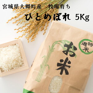 10{\I  ߘa7NxYāI V _EL@엿gp {錧Y āE ЂƂ߂ڂ 5kg {錧Y ЂƂ߂ڂ  {錧勽Y erq {   