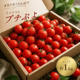 【予約開始｜2026年7月頃～発送】宮城県産 プチぷよ トマト 1kg 薄皮 幻のミニトマト 高糖度 フルーツトマト 産地直送 送料無料 ギフト 完熟 野菜 お取り寄せ お中元 プチぷよ ぷちぷよ
