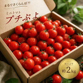 【予約開始｜2026年7月頃～発送】宮城県産 プチぷよ トマト 2Kg (1Kg×2箱) 薄皮 幻のミニトマト 高糖度 フルーツトマト 産地直送 送料無料 ギフト 完熟 野菜 お取り寄せ お中元 プチぷよ ぷちぷよ
