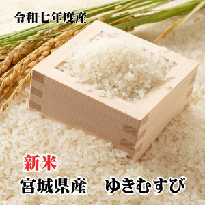 2025N920`\I ߘa7NY V _EL@엿gp {錧Y 䂫ނ 5kg 10kg   󏭕 erq