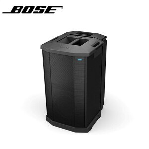 BOSE F1 SUBWOOFER ���S�̓��{���K�i�I
