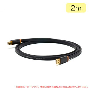 OYAIDE d+USB Class A rev2 2.0m iUSBP[u