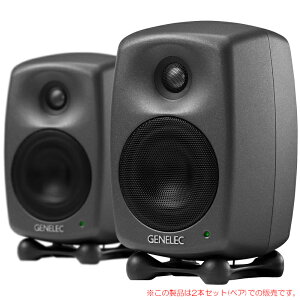 GENELEC 8020DPM _[NO[ 2{yA S̓{KiI