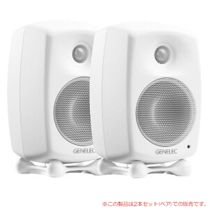 GENELEC 8020DWM zCg 2{yA S̓{KiI