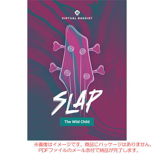 UJAM VIRTUAL BASSIST SLAP �_�E�����[�h�� ���S�̓��{���K�i�I�y5/13�܂œ����I�z