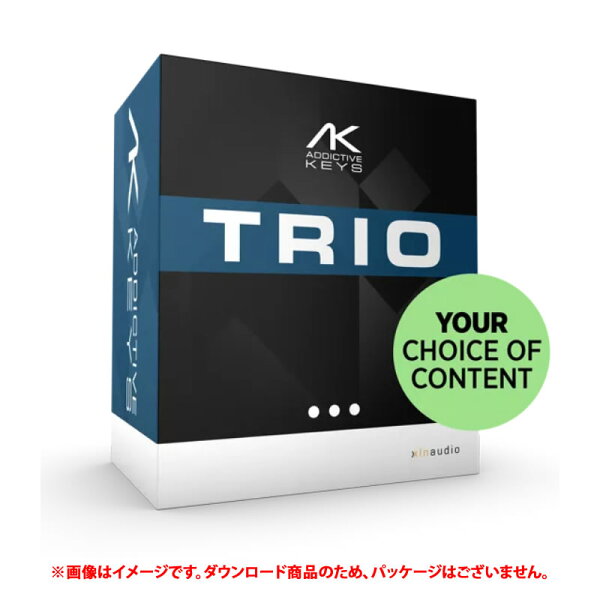 XLN AUDIO ADDICTIVE KEYS TRIO BUNDLE ダウンロード版 【最短当日シリアルPDF納品】【特価！在庫限り】
