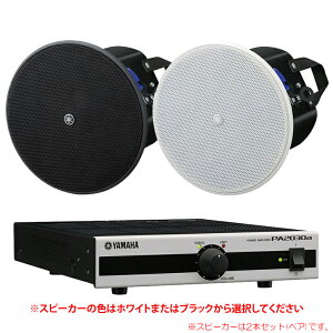 YAMAHA VXC4 + PA2030a XBGMZbg yV䖄ߍ݌^z