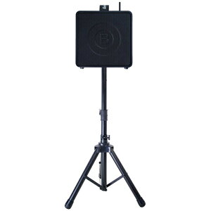 BELCAT BWPA-40W CX}CNtyŕ֗ȊȈPAZbg XĂэ݂cɃIXXI