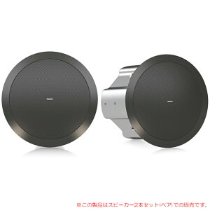 TANNOY CVS 601-BK 2{yA ubN VtXs[J[ S̓{KiIy󒍔iz
