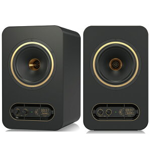 TANNOY GOLD 7 2{yA p[hX^WIj^[ S̓{KiI