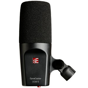 SE ELECTRONICS DYNACASTER DCM6 ���S�̓��{���K�i�I