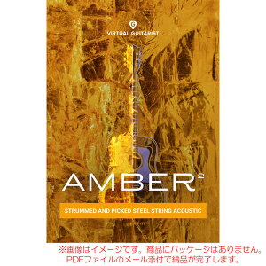 UJAM VIRTUAL GUITARIST AMBER 2 �_�E�����[�h�� �y�ŒZ�������[���Ŕ[�i�z�y5/13�܂œ����I�z