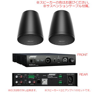 BOSE FS2P VERITAS 250BL �����Z�b�g2 �i�X�s�[�J�[2�{�j �T�X�y���V�����P�[�u���t��