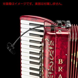 DPA MICROPHONES 4099-DP-1-101-A AR[fBIZbg S̓{KiI PwEx XeIyAf