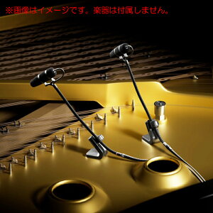 DPA MICROPHONES 4099-DP-1-101-P sAmZbg S̓{KiI PwEx XeIyAf