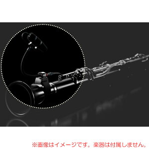 DPA MICROPHONES 4099-DP-1-101-U jo[TZbg S̓{KiI PwEx