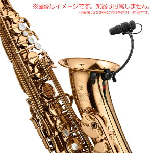 DPA MICROPHONES 4099-DP-1-199-S TbNXZbg S̓{KiI PwEx