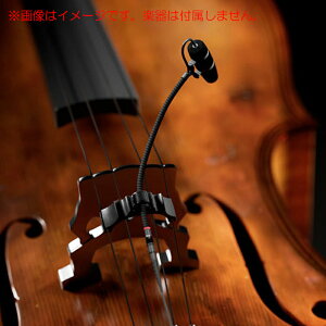 DPA MICROPHONES 4099-DP-1-201-C `FZbg S̓{KiI PwEx