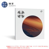 IZOTOPE RX 12 ELEMENTS ダウンロード版 安心の日本正規品！【10/5まで特価！】