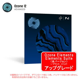 IZOTOPE OZONE 12 ADVANCED UPGRADE OZONE ELEMENTS/ELEMENTS SUITE【4/15まで特価！】
