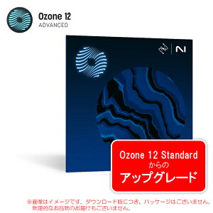 IZOTOPE OZONE 12 ADVANCED UPGRADE OZONE 12 STANDARDy12/8܂Black FridayIz