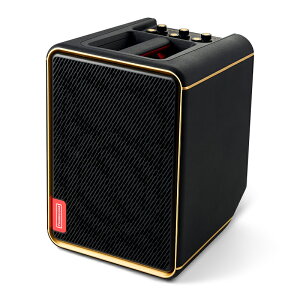 POSITIVE GRID SPARK EDGE 安心の日本正規品!