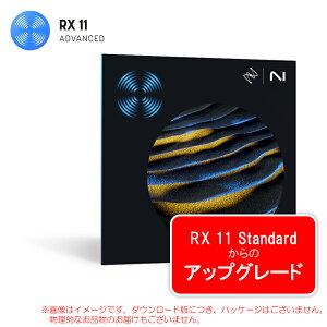 IZOTOPE RX 11 ADVANCED UPGRADE FROM RX 11 STANDARD _E[h S̓{KiI