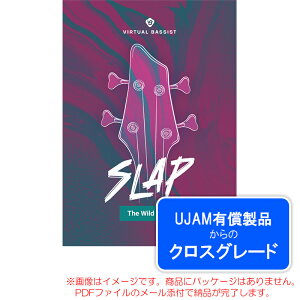 UJAM VIRTUAL BASSIST SLAP ���C�����e�B (�N���X�O���[�h) �_�E�����[�h�� ���S�̓��{���K�i�I
