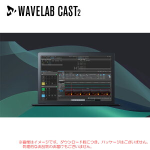 STEINBERG WAVELAB CAST 2 �_�E�����[�h�� ���S�̓��{���K�i�I