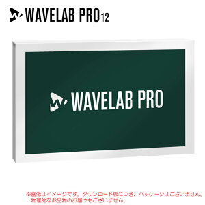 STEINBERG WAVELAB PRO 12 �_�E�����[�h�� ���S�̓��{���K�i�I