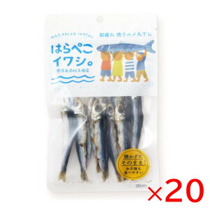 Si|Cg10{!E10/24 20`FjX ͂؂CV 25g×20܃Zbg P[X ܂Ƃ ߂킵 ۊ vY ܂ ql̂ɂ