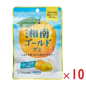lR|X JlJHi ÓS[hO~ ʏ`O~ u_ۓ 40g×10 O~ lC e