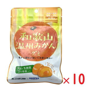 lR|X JlJHi a̎RB݂O~ ʏ`O~ u_ۓ 40g×10 O~ lC e