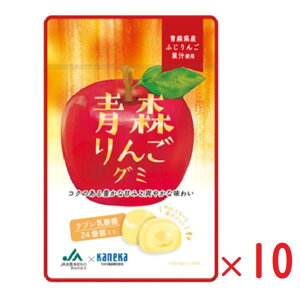 lR|X JlJHi X񂲃O~ ʏ`O~ u_ۓ 40g×10 O~ lC e