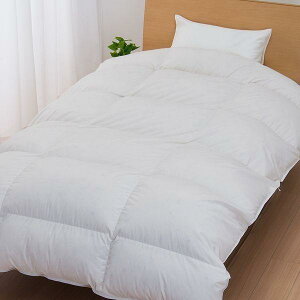  hG Hѕzc VO  |zc _E85 egV[hLg AC{[ KA01302007 RCh[Ő􂦂