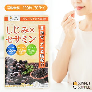 |Xg͂ ݃ZT~ 120 1 Ij` S}RZT~ JVE ΎY݂kƎgp GMPFHŐ Tvg NHi NێT|[