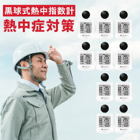 在庫あり　小林薬品 黒球式熱中症指数計 KO392 熱中症対策　10個セット