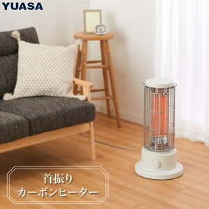 ATvCX dCXg[u U J[{q[^[ zCg YKT]CT1000D(W) ȃg g ԊO 1000W 500W ȃGl YUASA