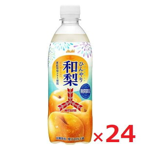 �A�T�q���� �O�c�� �Ђ���a�� 500ml×24�{�� �P�[�X���� �܂Ƃߔ��� �yRSL�z