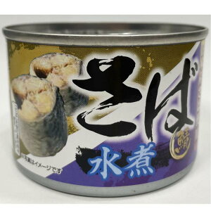 ���{�Y�T�o�g�p ���ΐ��ϊ� 160g×24 ���� �T�o�� �I�� �R�X�p