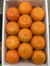 たんかん 4L〜Mサイズ 約5.5kg 鹿児島県屋久島産 化粧箱入 贈答用 ギフト フルーツ 果物 ミカン みかん サニーフルーツ岡山 送料無料 (北海道・沖縄・離島の方は別途送料1500円がかかります)