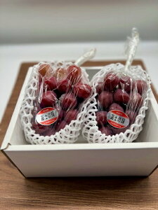 xm̋P 1[450g 2[ RY ubNVC}XJbg Vi ϔ p Mtg t[c ʕ Ԃǂ uhE  (kCEE͕̕ʓr1500~܂