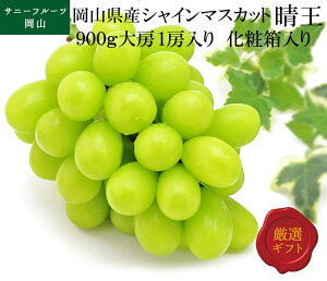 VC}XJbg 900g 1[ RY ō Ruh p Mtg t[c ʕ Ԃǂ uhE Tj[t[cR  (kCEE͕̕ʓr1500~