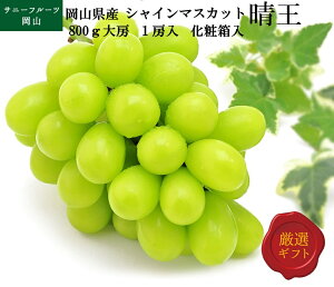 VC}XJbg 800g 1[ RY ō Ruh p Mtg t[c ʕ Ԃǂ uhE Tj[t[cR  (kCEE͕̕ʓr1500~