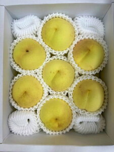 R~ 1.3kg 5`9ʓ ϔ p Mtg Ε t[c ʕ    (kCEE͕̕ʓr1500~܂)