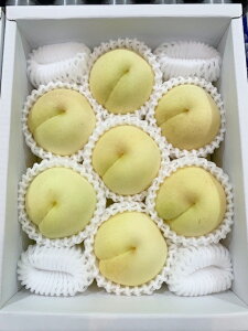 R~ C 1.3kg 5`9ʓ ϔ p Mtg Ε t[c ʕ   Tj[t[cR  (kCEE͕̕ʓr1500~܂)