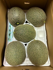 JAやつしろ 肥後グリーンメロン 約8kg 4～6玉入 熊本県産 めろん フルーツ サニーフルーツ岡山 送料無料 (北海道・沖縄・離島の方は別途送料1500円がかかります)